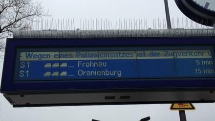Der S-Bahn-Verkehr musste wegen eines Polizeieinsatzes zeitweise angehalten werden. 