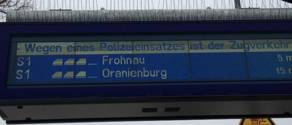 Der S-Bahn-Verkehr musste wegen eines Polizeieinsatzes zeitweise angehalten werden. 