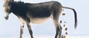 Bricklebrit, heißt es im Märchen der Gebrüder Grimm, und schon lässt der Esel die Goldstücke fallen. Wer statt solcher Fantasiegeschichten lieber Fakten möchte, sollte besser den Wirtschaftsteil der Zeitung studieren. Foto: Mauritius