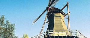 Typisch Holland. Auch auf dem Keukenhof blüht und grünt es – und, natürlich, die historische Mühle mitten in der ganzen Pracht. 
