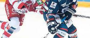 Nicht zu stoppen. So sehr sich Kölns Alexander Weiß auch müht, die Eisbären um Travis James Mulock liefen im ersten Viertelfinale von Beginn an vorneweg. Foto: dpa