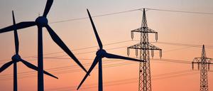 Die Grünen wollen, dass Berlin im Jahr 2030 komplett aus erneuerbaren Energien versorgt wird. 