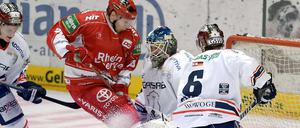 Am Mittwochabend begegneten sich die Kölner Haie und die Berliner Eisbären in den Play-offs um die deutsche Meisterschaft.