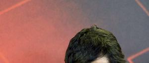 Das Aus nach nicht mal einer vollen Saison: Robin Dutt ist nicht länger Trainer der Werkself aus Leverkusen.