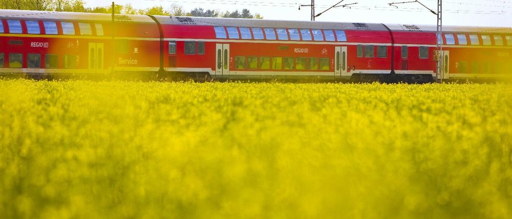 Mit den Regionalzügen pendeln zehntausende Brandenburger täglich nach Berlin