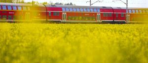 Mit den Regionalzügen pendeln zehntausende Brandenburger täglich nach Berlin