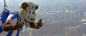 Nicht nur Herthinho begibt sich in die Luft, die arabische Airline Etihad Airline tut dies schon länger - und könnte demnächst bei Hertha BSC als Investor landen.