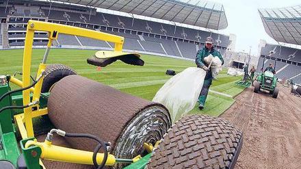 Schwerstarbeit. Eine Rolle Rasen ist 15 Meter lang und wiegt 1,2 Tonnen.