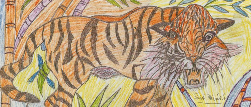 Wilde Welt. Kurt Wanski zeichnet ab: Postkarten, Aktposter, Plakate. Das Ergebnis: persönliche, zugleich freie und genaue Wiedergaben. Hier das Abbild eines Tigers, vermutlich aus dem Tierpark.