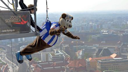 Hertha im freien Fall? Maskottchen Herthinho hat immerhin ein Seil mit, um sich von einem Hotel in die Tiefe zu stürzen. 