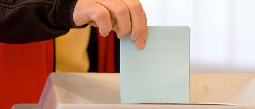 Wechselhafte Wähler: Gerade die kleinen Parteien müssen mit rasch wechselnden Stimmungshochs und -tiefs leben.