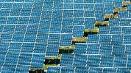 Ein Riss geht durch die deutsche Solarindustrie. Viele Firmen stehen vor dem Aus, doch einige haben eine Chance.