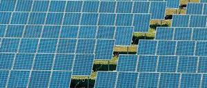 Ein Riss geht durch die deutsche Solarindustrie. Viele Firmen stehen vor dem Aus, doch einige haben eine Chance.