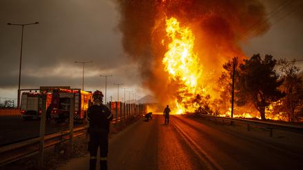 Griechische Feuerwehrleute haben in diesen Tagen auch rund um Athen kaum eine Pause. Hier bekämpfen sie einen Waldbrand nördlich der griechischen Hauptstadt.