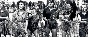 Klassenkampf. Arme Italienerinnen arbeiteten früher für einen Hungerlohn in den Reisfeldern. Darüber gibt es einen legendären Film des italienischen Neorealismus, „Bitterer Reis“, von Giuseppe De Santis, mit Silvana Mangano (3. von rechts) in der Hauptrolle. Der sozialkritische Film von 1949 war wegen seiner unterschwelligen Erotik ein Skandal.