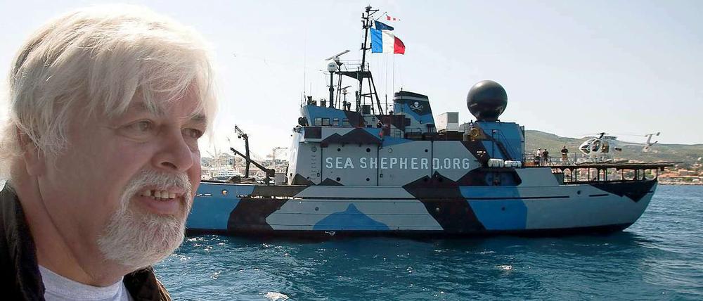Paul Watson, Gründer der Umweltschutzorganisation Sea Shepherd.