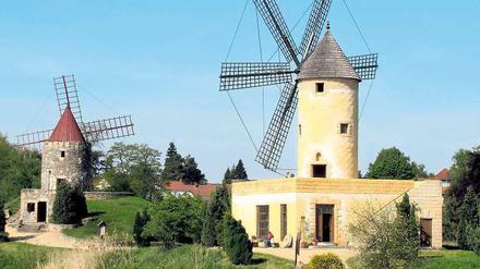 Mit Charakter. Keine Mühle im Park gleicht der anderen.