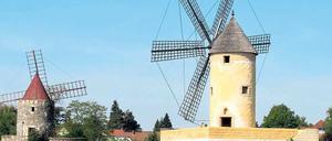 Mit Charakter. Keine Mühle im Park gleicht der anderen.