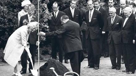 Königin der Blätter. Bei ihrem ersten Besuch in West-Berlin 1965 pflanzte Elisabeth II. im Englischen Garten eine Eiche (vom Laub verdeckt der Regierende Bürgermeister Willy Brandt, Prinz Philip - rechts der Mitte - und Bundeskanzler Ludwig Erhard - ganz rechts.