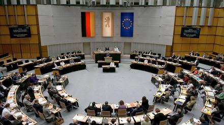 Seit dem vergangenen Herbst sitzen die Piraten im Berliner Parlament. Einige Abgeordnete beklagen seither eine Verrohung der Sitten. Aber gibt es wirklich einen Zusammenhang?