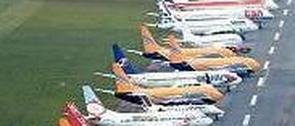 Große Konkurrenz. Wo viele fliegen sinkt der Preis.
