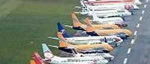 Große Konkurrenz. Wo viele fliegen sinkt der Preis.