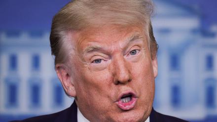 Trumps Nichte beschreibt den US-Präsidenten als ichbezogenen Narzissten, der süchtig ist nach Schmeicheleien.