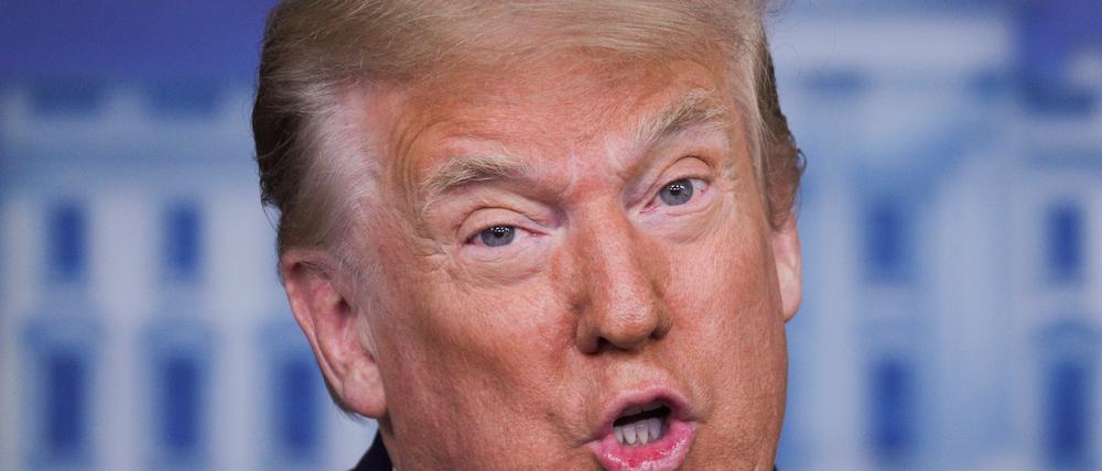 Trumps Nichte beschreibt den US-Präsidenten als ichbezogenen Narzissten, der süchtig ist nach Schmeicheleien.