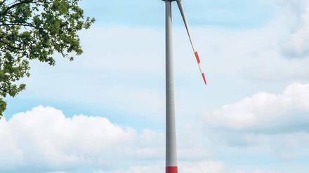 Ob Ökostrom oder Biokraftstoff: Mit allem lässt sich Geld verdienen. Wie das geht, lernen Projektentwicklung in speziellen Weiterbildungen. Foto: dpa