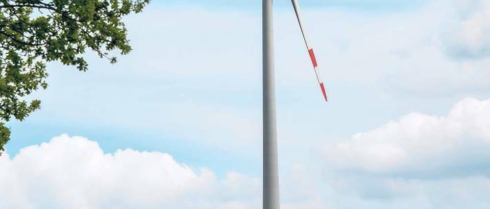 Ob Ökostrom oder Biokraftstoff: Mit allem lässt sich Geld verdienen. Wie das geht, lernen Projektentwicklung in speziellen Weiterbildungen. Foto: dpa