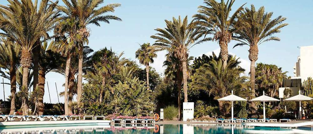 In einem Robinson Club auf Fuerteventura ist ein deutscher Urlauber von einer Palme erschlagen worden.