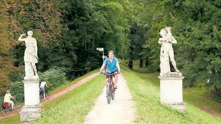 Hübsch flankiert. Der Fürst-Franz-Radweg in Sachsen-Anhalt führt zu den schönsten Plätzen im Gartenreich Dessau-Wörlitz.