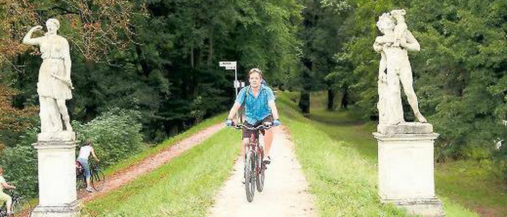 Hübsch flankiert. Der Fürst-Franz-Radweg in Sachsen-Anhalt führt zu den schönsten Plätzen im Gartenreich Dessau-Wörlitz.