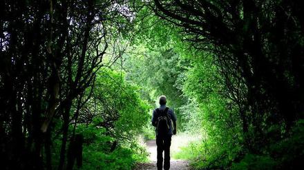 Immer wieder gibt es Geschichten über "Waldmenschen" und andere Findlinge.