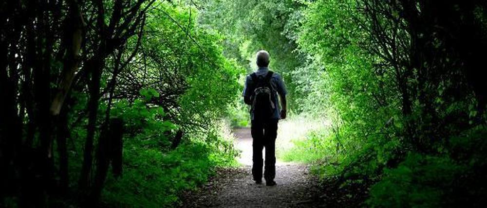 Immer wieder gibt es Geschichten über "Waldmenschen" und andere Findlinge.