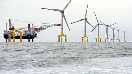 Windpark in der Nordsee.