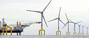 Windpark in der Nordsee.