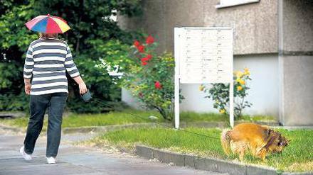 Kurz nochmal mit dem Hund raus. StreamDelay-Opfer wissen: Bis zum Tor ist noch eine Minute Zeit. Foto: p-alliance/dpa