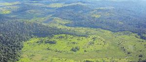 Kahlschlag. Der Amazonas-Regenwald ist eins der drei größten Ökosysteme Brasiliens. Foto: AFP