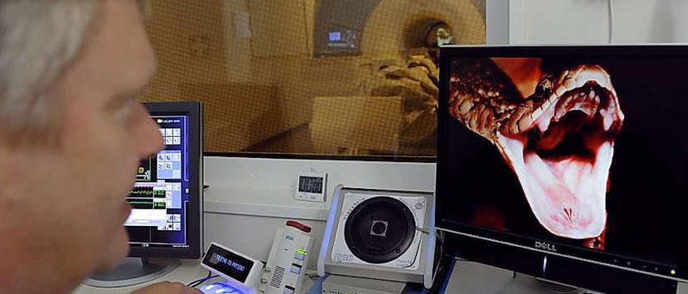 Emotional. Wie reagieren Zuschauer auf das Bild der Schlange? Versuch im Dahlem Institute for Neuroimaging of Emotion.
