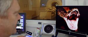 Emotional. Wie reagieren Zuschauer auf das Bild der Schlange? Versuch im Dahlem Institute for Neuroimaging of Emotion.