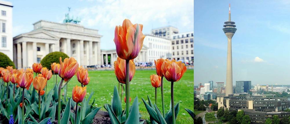 Berlin wird wie Düsseldorf, befürchtet Kolumnist Harald Martenstein.
