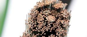 ARD und ZDF kündigen die Einspeiseverträge mit den Kabelnetzbetreibern.