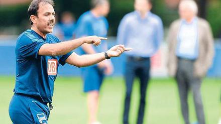 Erst Trainer Jos Luhukay brachte Hertha wieder auf Kurs - allerdings in der Zweite Liga.