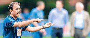 Erst Trainer Jos Luhukay brachte Hertha wieder auf Kurs - allerdings in der Zweite Liga.