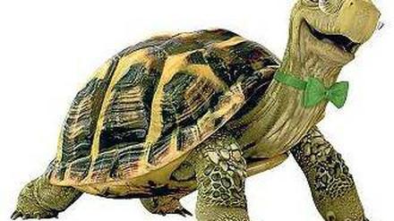 Weder Bulle, noch Bär. Mit Günther Schild wurde für Bundeswertpapiere geworben. 