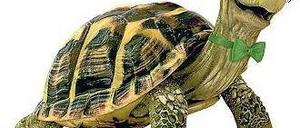 Weder Bulle, noch Bär. Mit Günther Schild wurde für Bundeswertpapiere geworben. 