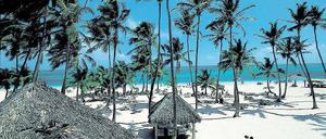 Endlich Urlaub! Und ein Weiterbildungsbuch passt auch noch in den Koffer. Jetzt hat man ja schließlich Zeit, es tatsächlich zu lesen. Foto: ddp