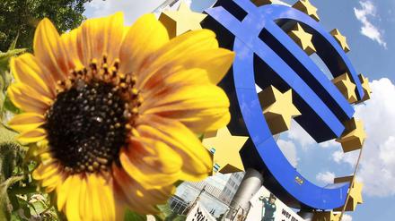 Der Euro ist zum Problemkind geraten. Dennoch halten Politik und Wirtschaft an ihm fest.