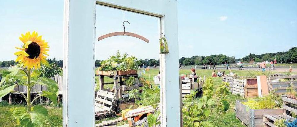 Dauerhaft temporär. Die Kleinstgärtner am östlichen Rand des Flugfeldes können aufatmen. Mit dem Umzug der Iga von Tempelhof nach Marzahn dürfte auch diese Zwischennutzung eine längere Schonfrist bekommen.